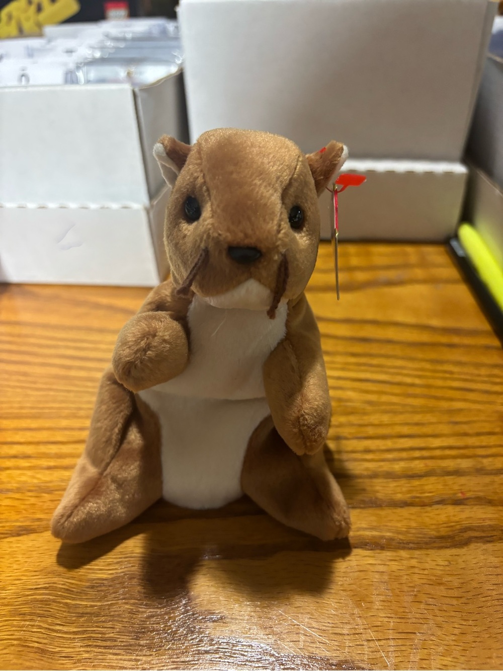 Nuts beanie baby